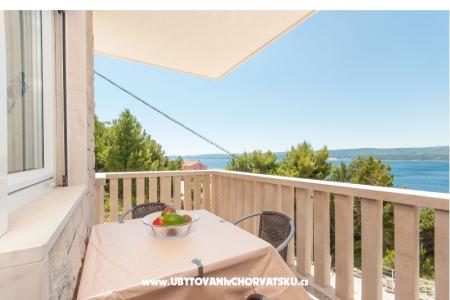 Apartments Villa Vesna Celina photo 2
