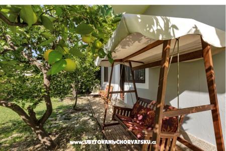 House Ana photo 4