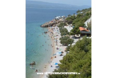 Apartments Mladina photo 2