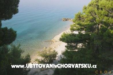 Pansion Šarić photo 4
