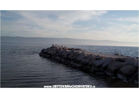 Apartment Cvita photo 3
