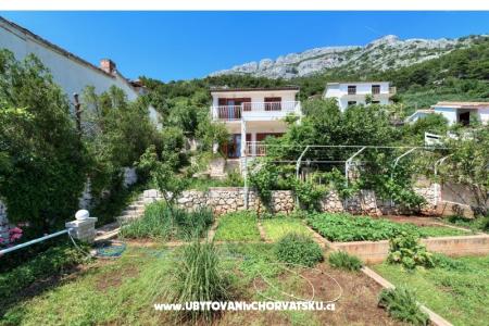 Vila Bistra photo 2