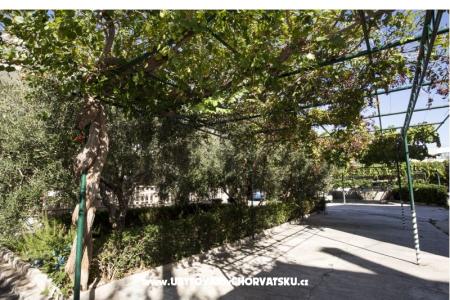 Villa Josipa photo 4