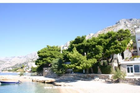 Villa Irma photo 2