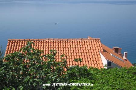 Villa Irma photo 4
