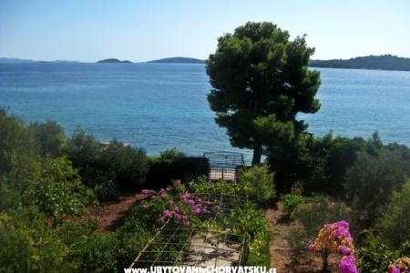 Apartments Šurjak photo 3