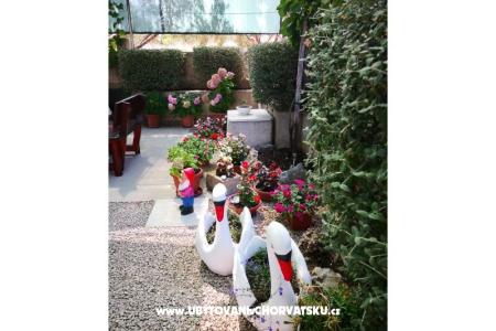 Apartments Marija photo 4