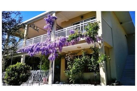 Apartments Marijela Orebic - Peljesac Croatia