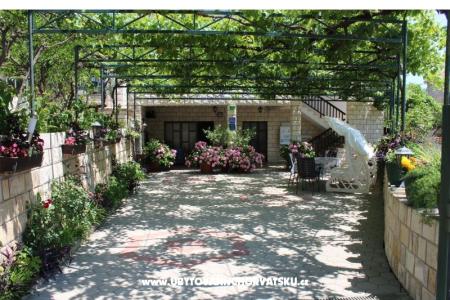 Apartments Sveti Anton Orebic photo 2