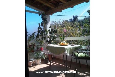 Apartment Braco photo 3