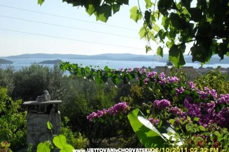 Villa Lea photo 2