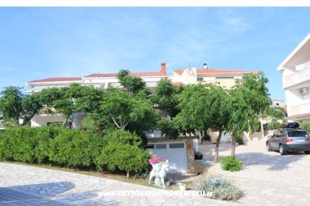 Apartments ANA photo 4