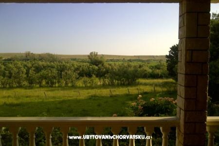 Apartments Ćurić Povljana photo 3