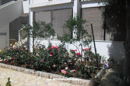 Apartments Marija photo 4