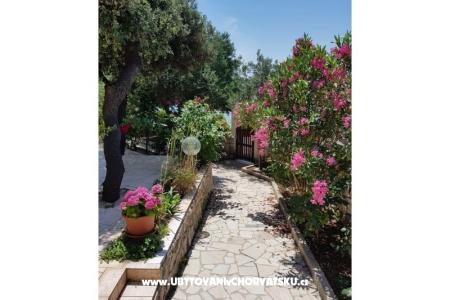 Apartments Milena i Robert Island of Pag Croatia