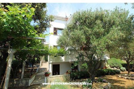 Apartments Salvia island Pag Mandre photo 4