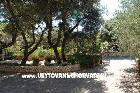 Apartments Josipa photo 4