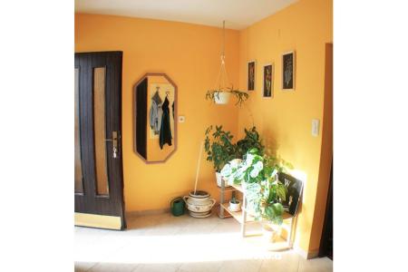 Apartments Filip Island of Pag Croatia