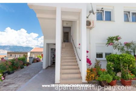 Apartments Filip photo 4