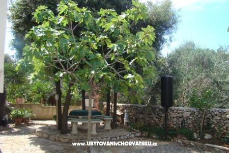 Apartments Mandre photo 2