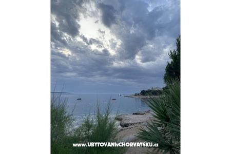 Apartments Mandre photo 5