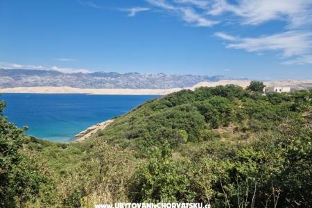 Villa Panama photo 3