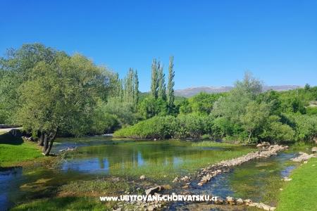 Apartments Tomic photo 3