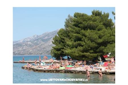 Aurora Apartments photo 5