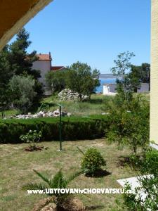 Vila Ana photo 3