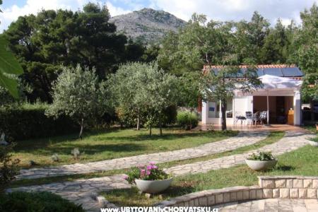 Villa Andreja - Apartments photo 4