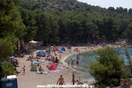 Apartments Drage photo 3