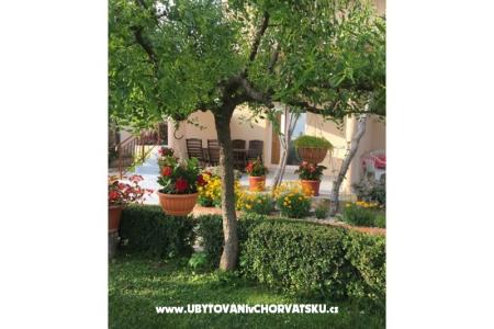 Apartments Jasa  photo 3