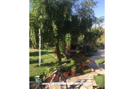 Apartments Jasa  photo 5