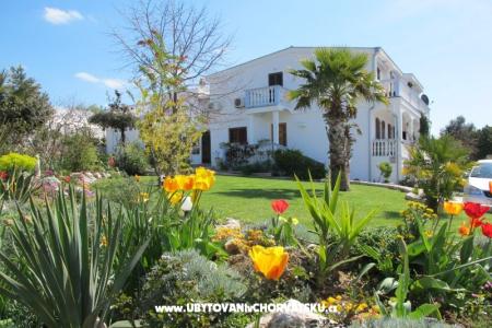 Apartments Mamić photo 3