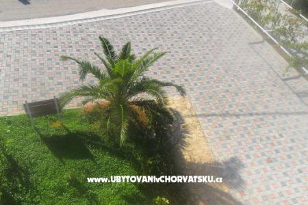 Apartments Leo photo 2