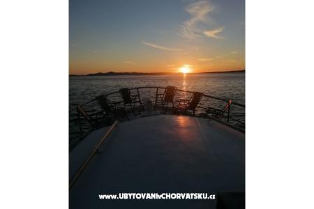 Tourist boat - Robinson Tourism photo 3