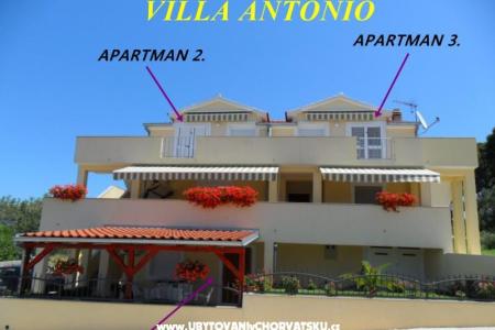 Apartments Antonio photo 3