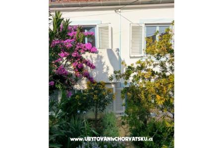 Apartments Marija-Tkon photo 4