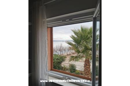 Apartments Branka photo 3