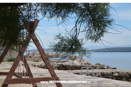 Apartments Branka photo 5