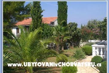 Apartments Misic photo 2