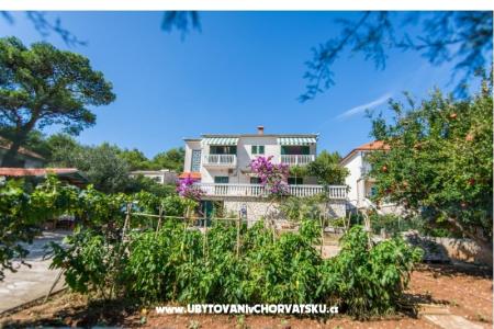 Apartments Dragica Pedisic photo 3