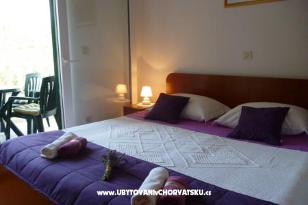 Apartments Suzana photo 3