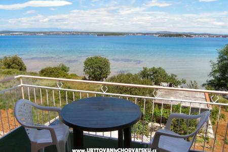 Pansion Muscet photo 4