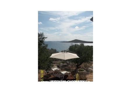 Robinson Rudika photo 3