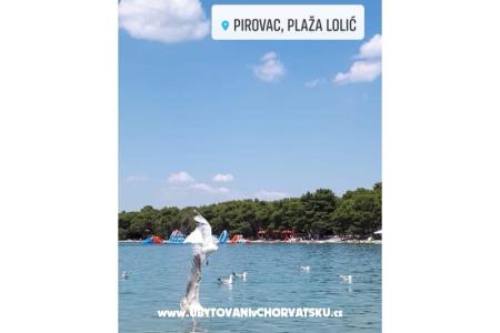 Villa Stefa Pirovac  photo 2
