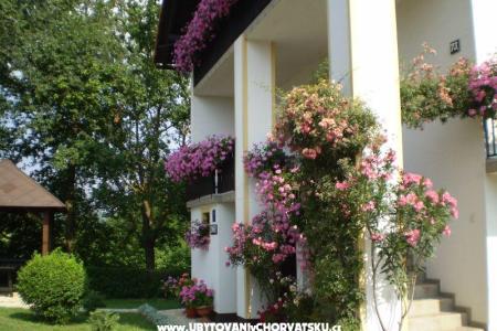 House Pavlic photo 3