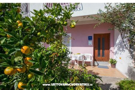 Apartment Olenka photo 5