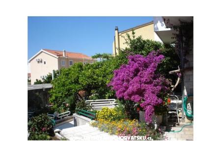 Apartments - Minka i Vite Podgora Croatia