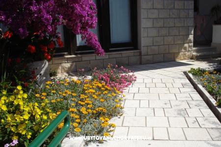 Apartments - Minka i Vite photo 3